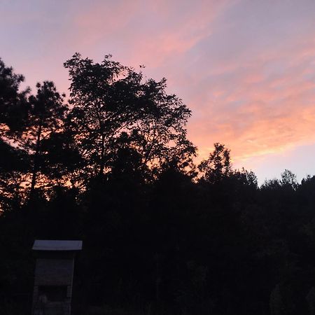 Happyhouse Bungalov Three-Room, Sw Pool With Lake View, Sapanca B1 외부 사진
