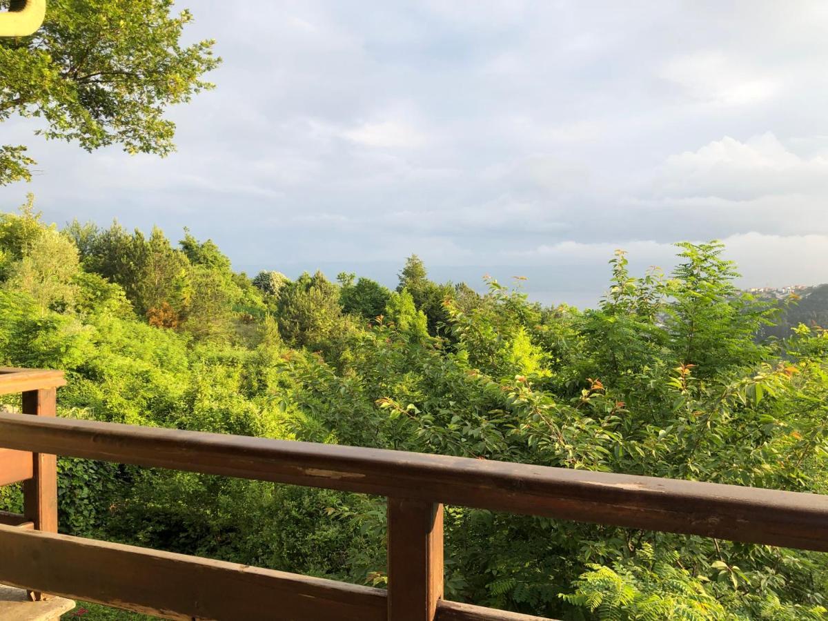 Happyhouse Bungalov Three-Room, Sw Pool With Lake View, Sapanca B1 외부 사진
