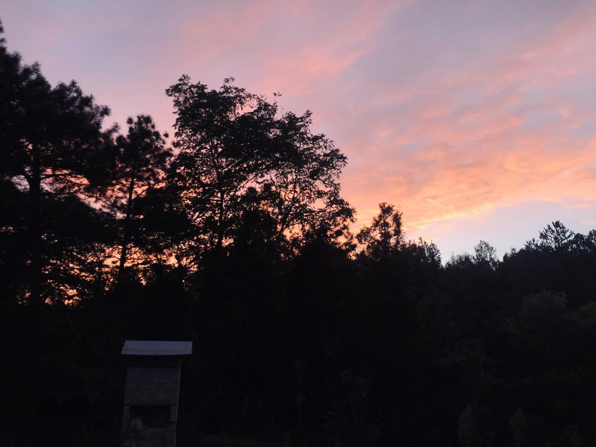 Happyhouse Bungalov Three-Room, Sw Pool With Lake View, Sapanca B1 외부 사진